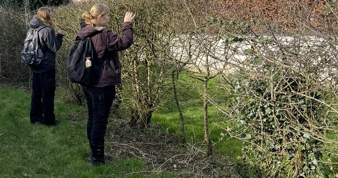 “Gewoon Buiten” brengt jongeren en natuur samen