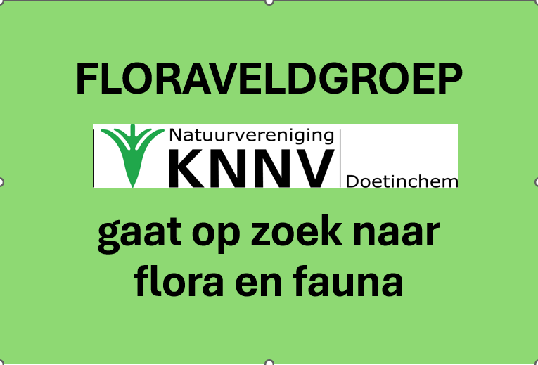 Plantenblindheid?